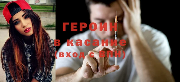 индика Алагир