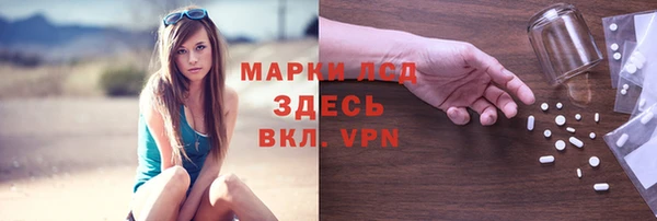индика Алагир