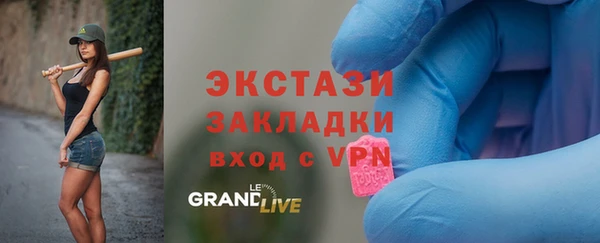 индика Алагир