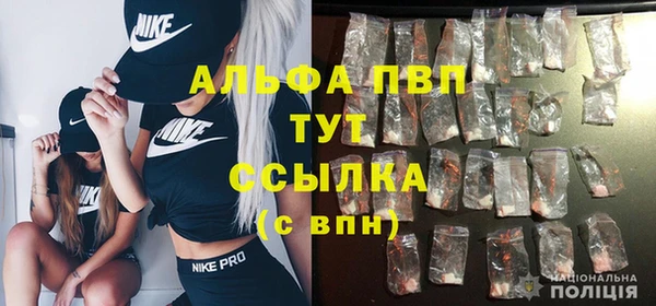 индика Алагир