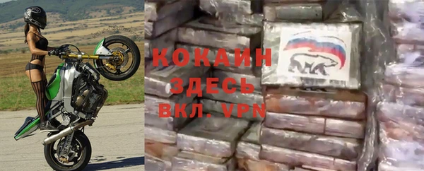 тгк Дмитровск