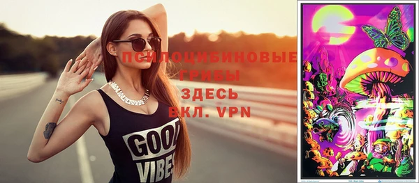 ПСИЛОЦИБИНОВЫЕ ГРИБЫ Елабуга