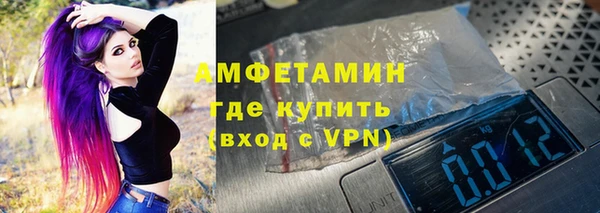 индика Алагир