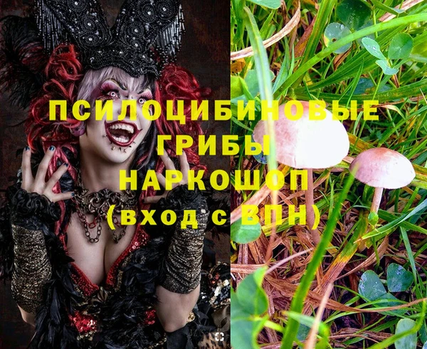 мяу мяу кристалл Анива