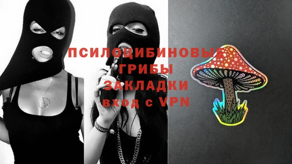 альфа пвп Гусиноозёрск