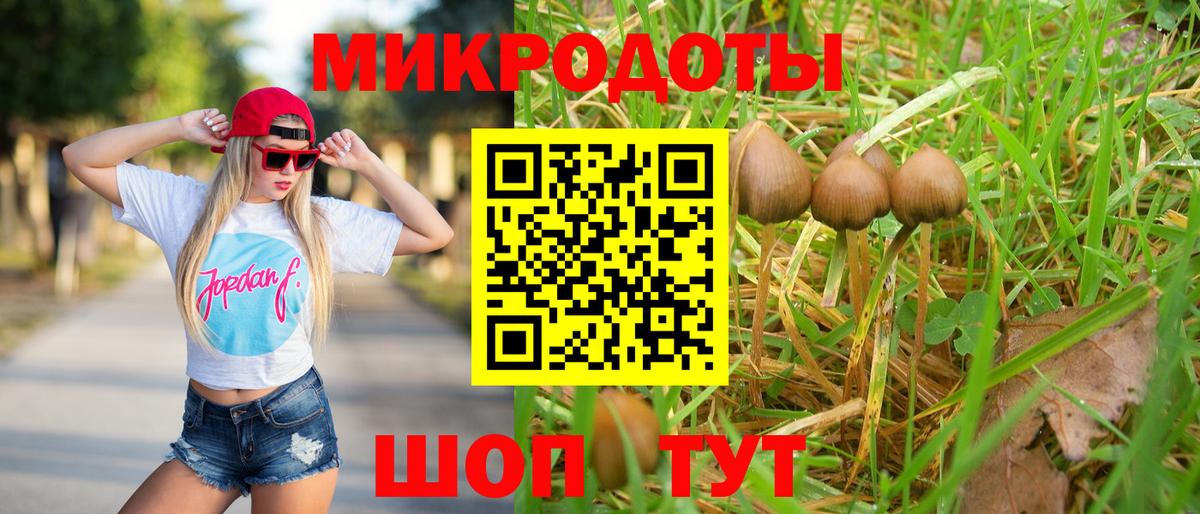 Галлюциногенные грибы Magic Shrooms  Псилоцибиновые грибы мухоморы  Дятьково 