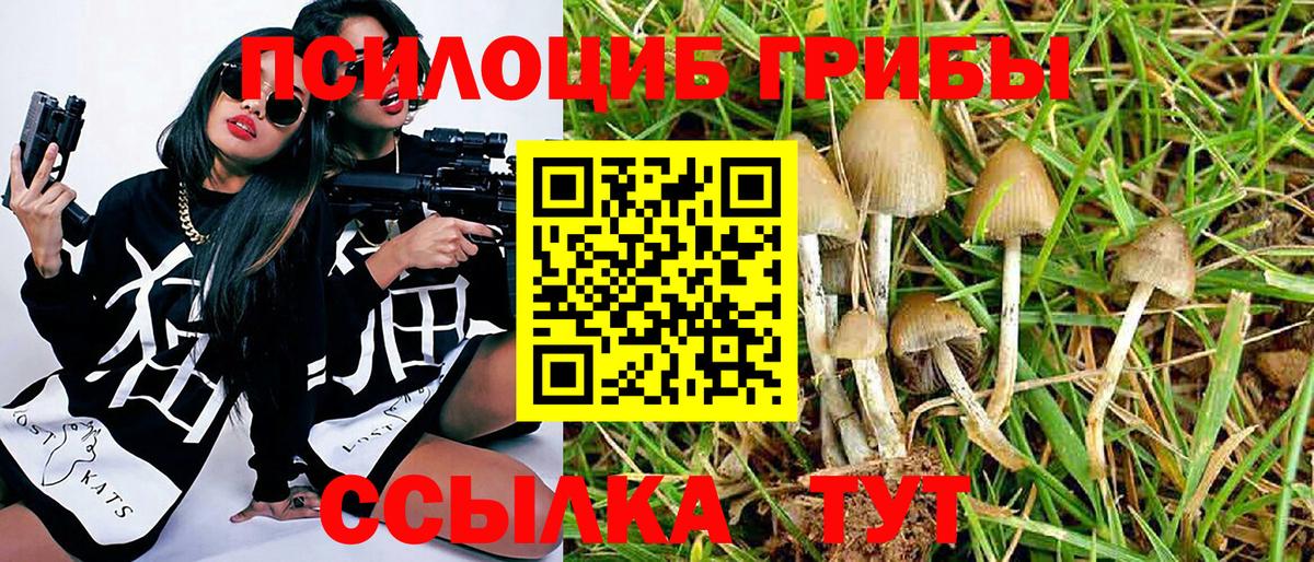 Псилоцибиновые грибы прущие грибы Дятьково