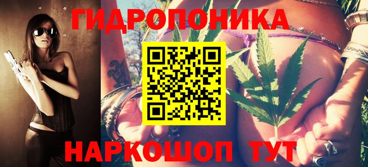 Шишки марихуана сатива  Вход с VPN  Дятьково  Бошки Шишки сатива 